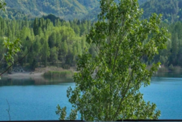 Mountain lake with green forest and trees