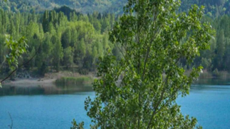Mountain lake with green forest and trees